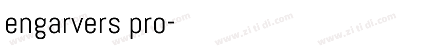 engarvers pro字体转换